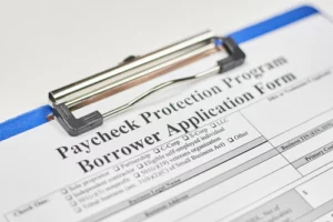 Paycheck Protection Program Borrower Application Form